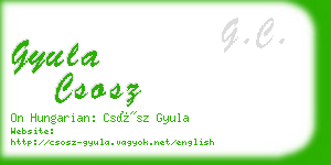 gyula csosz business card